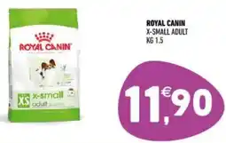 Ayoka Royal canin x-small adult offerta