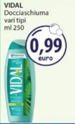 Acqua & Sapone VIDAL Docciaschiuma offerta