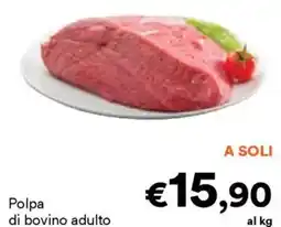 Unes Polpa di bovino adulto offerta