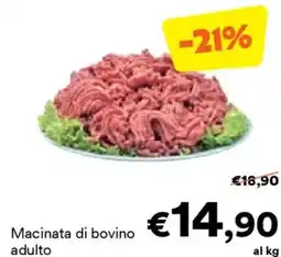 Unes Macinata di bovino adulto offerta