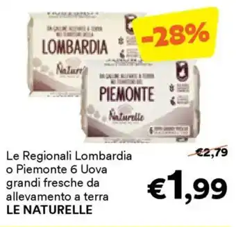 Unes Le Regionali Lombardia o Piemonte 6 Uova grandi fresche da allevamento a terra LE NATURELLE offerta
