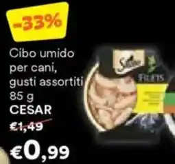 Unes Cibo umido per cani CESAR offerta