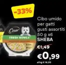 Unes Cibo umido per gatti offerta