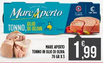 Mare aperto tonno in olio di oliva