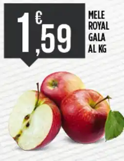 Euroesse Mele royal gala offerta