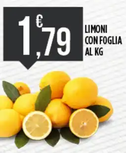 Euroesse Limoni con foglia offerta