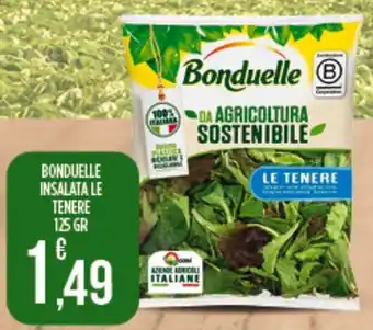 Euroesse Bonduelle insalata le tenere offerta