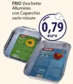 Acqua & Sapone FRIO Vaschette Alluminio con Coperchio offerta