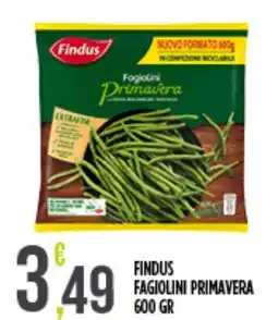 Euroesse Findus fagiolini primavera offerta