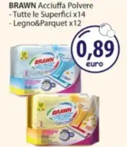 Acqua & Sapone BRAWN Acciuffa Polvere, Tutte le Superfici x14, Legno&Parquet x12 offerta