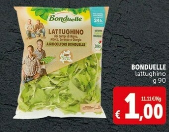 Deco Supermercati Insalata offerta