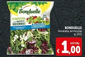 Deco Supermercati Insalata offerta
