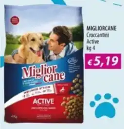 Acqua & Sapone MIGLIORCANE Croccantini Active offerta