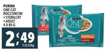 Deco Supermercati Purina one cat bocconcini offerta