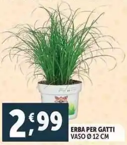 Deco Supermercati Erba per gatti vaso Ø 12 cm offerta
