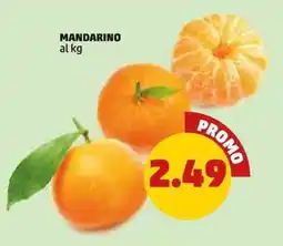 PENNY Mandarino offerta