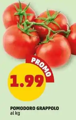 PENNY Pomodoro grappolo offerta