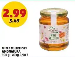 PENNY Miele millefiori AMONATURA offerta