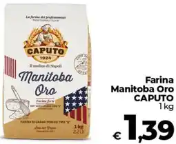 Coop Farina Manitoba Oro CAPUTO offerta