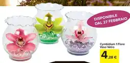 Carrefour Express Cymbidium 1 Fiore Vaso Vetro offerta