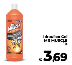 Coop Idraulico Gel MR MUSCLE offerta