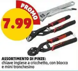 PENNY Assortimento di pinze offerta