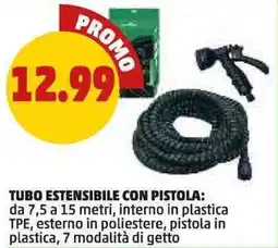 PENNY Tubo estensibile con pistola offerta
