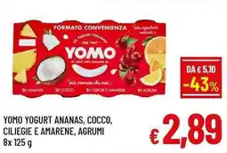 A&O Yomo yogurt ananas, cocco, ciliegie e amarene, agrumi offerta