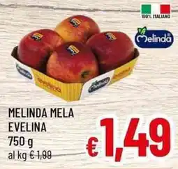 A&O Melinda mela evelina offerta