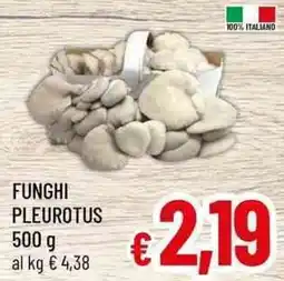 A&O Funghi pleurotus offerta