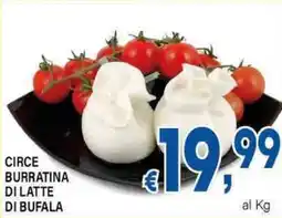 DEM Circe burratina di latte di bufala offerta