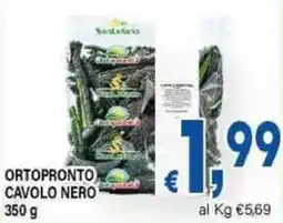 DEM Ortopronto cavolo nero offerta