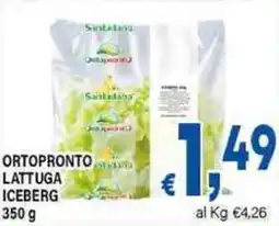 DEM Ortopronto lattuga iceberg offerta