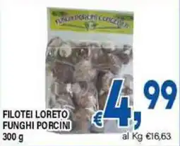 DEM Filotei loreto funghi porcini offerta