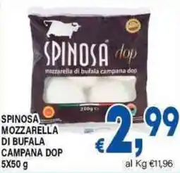 DEM Spinosa mozzarella di bufala campana dop offerta