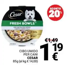 Supermercati Gulliver Cibo umido per cani CESAR offerta