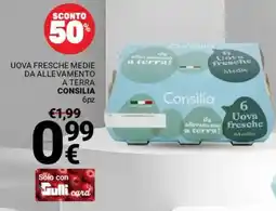 Supermercati Gulliver Uova fresche medie da allevamento a terra CONSILIA offerta