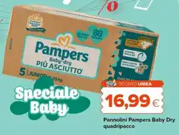 Oasi Pannolini Pampers Baby Dry quadripacco offerta