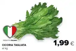 Oasi Cicoria tagliata offerta