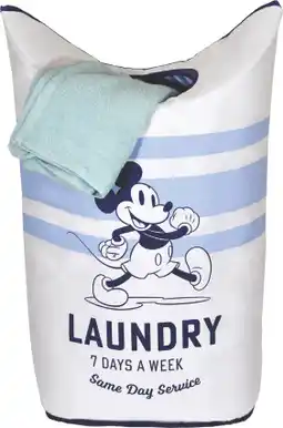 MD Discount LAUNDRY BASKET offerta