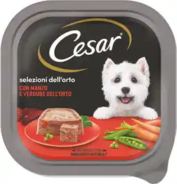 MD Discount PATÈ PER CANE AL MANZO E VERDURE offerta