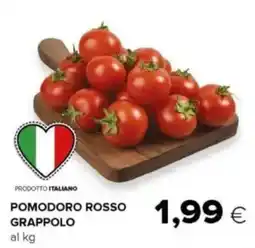 Oasi Pomodoro rosso grappolo offerta