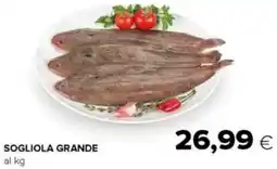 Oasi Sogliola grande offerta