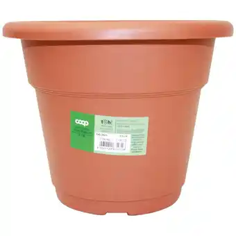 LINEA VASI E SOTTOVASI COOP