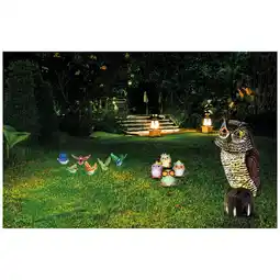 Ipercoop DECORAZIONI DA GIARDINO offerta