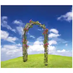 Ipercoop ARCO PER RAMPICANTI IN FERRO VERNICIATO offerta