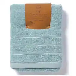 Ipercoop COPPIA SPUGNA offerta