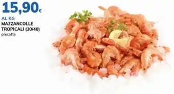 Basko Mazzancolle tropicali offerta