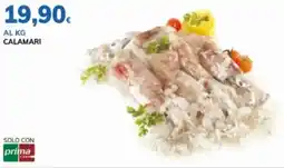 Basko Calamari offerta