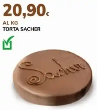 Basko Torta sacher offerta